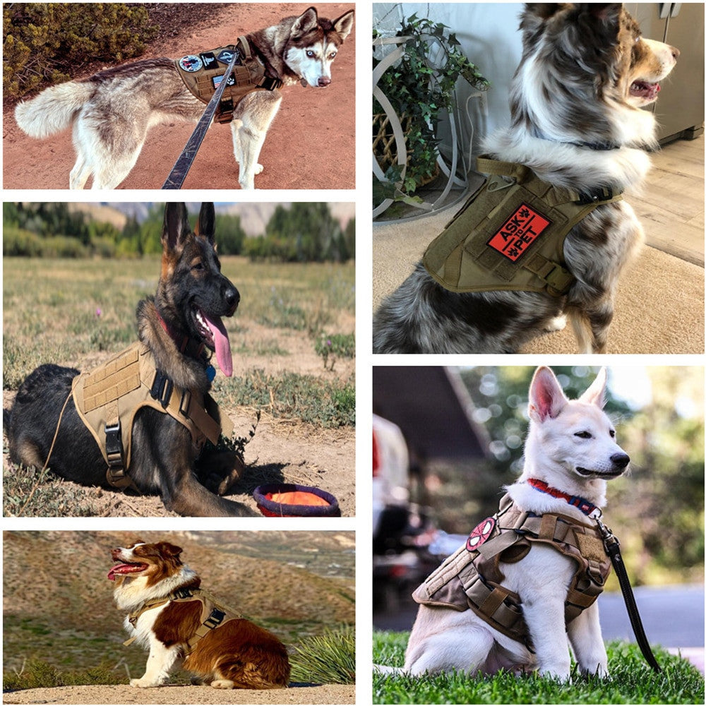 Military Large Dog Harness-2
